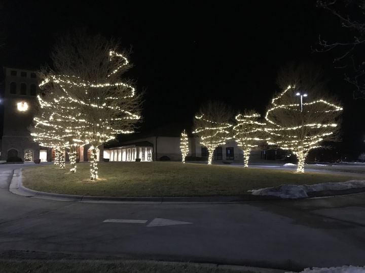 A row of trees at a commercial building, each trunk and branch spiraled in warm white lights