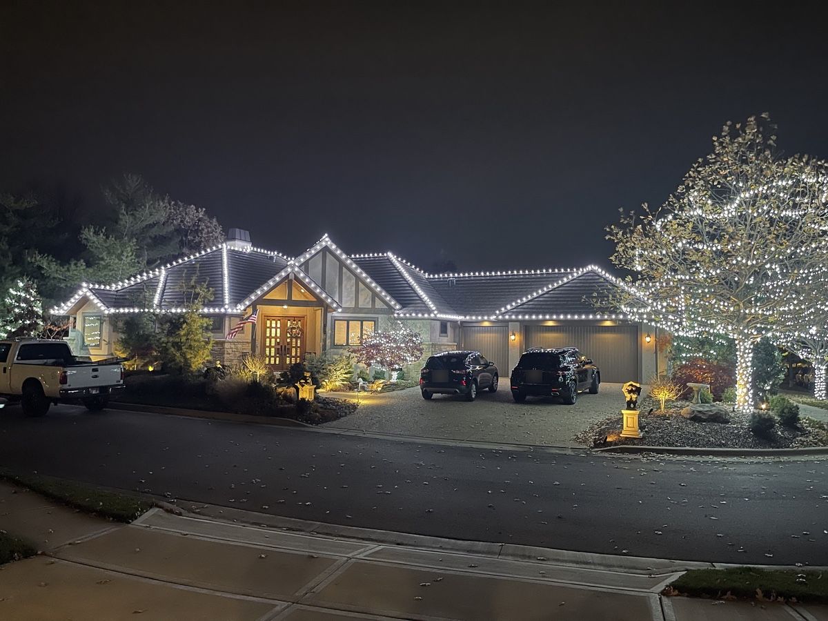 A long ranch home with every ridge, hip and gable outlined in white bulbs, beside a large tree wrapped branch by branch in lights